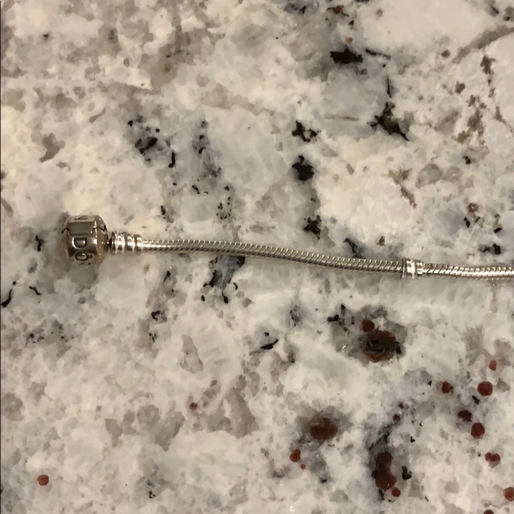 Pandora Bracelet